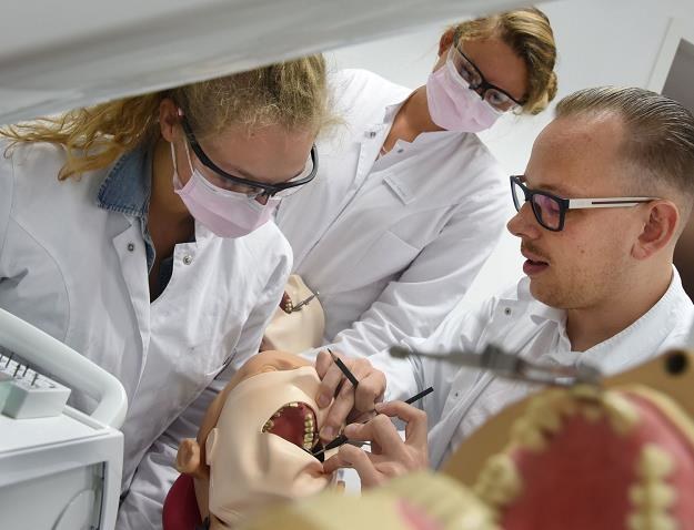 Nowa technologia wkracza do stomatologii /AFP