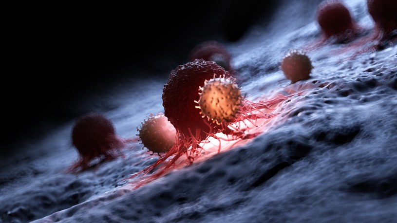 Nowa terapia może poskromić raka. Wszystko dzięki nanocząsteczkom /123RF/PICSEL