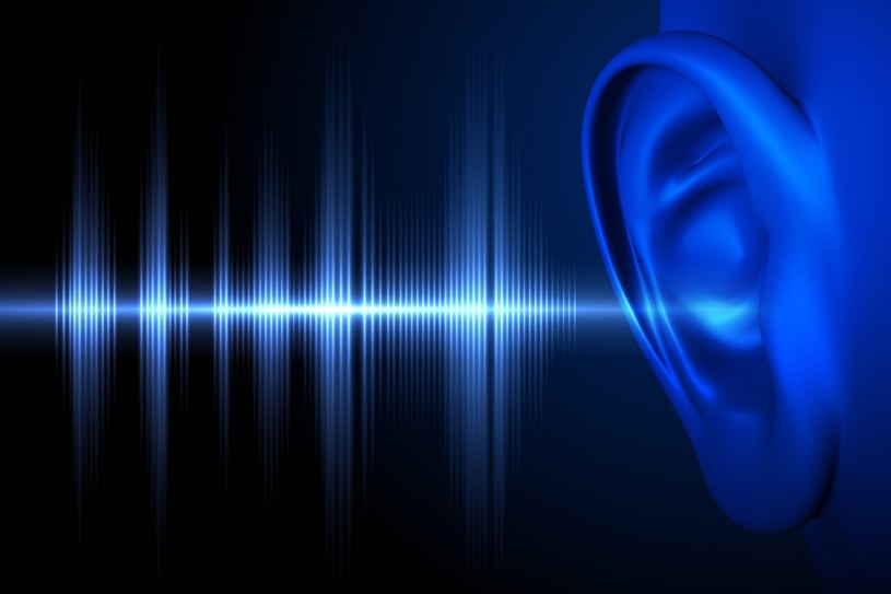 Nowa terapia przywracająca słuch /123RF/PICSEL