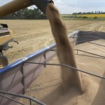 Nowa umowa UE z Ukrainą wchodzi w życie. Media: Polska utrzyma embargo na zboże