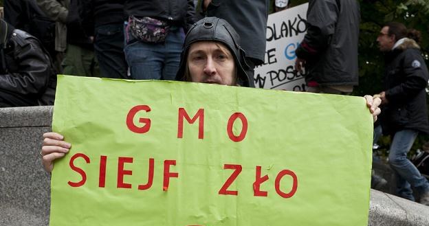 Nowa ustawa o nasiennictwie zawiera dwie regulacje dotyczące GMO, fot. Krystian Maj /Reporter