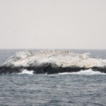 Nowa wyspa odkryta na Antarktyce. Naukowcy zaskoczeni nieznanym lądem