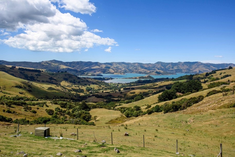Nowa Zelandia, okolice Akaroa /Kai Schwörer /PAP/EPA