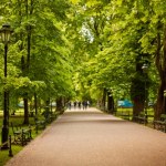 Nowa zieleń w centrum Krakowa. Będą alejki i królewskie gatunki roślin
