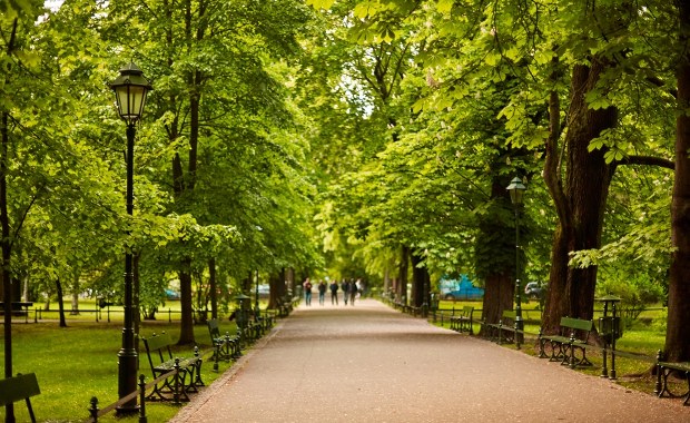 Nowa zieleń w centrum Krakowa. Będą alejki i królewskie gatunki roślin