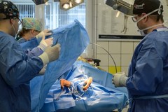 Nowatorska operacja weterynaryjna w Lublinie. Suczka Shila dostanie dwie protezy