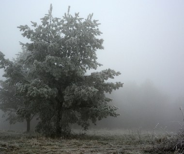 Nowe alerty IMGW. Mgła i roztopy