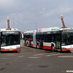 Nowe autobusy w Radomiu. Mają oryginalne nazwy