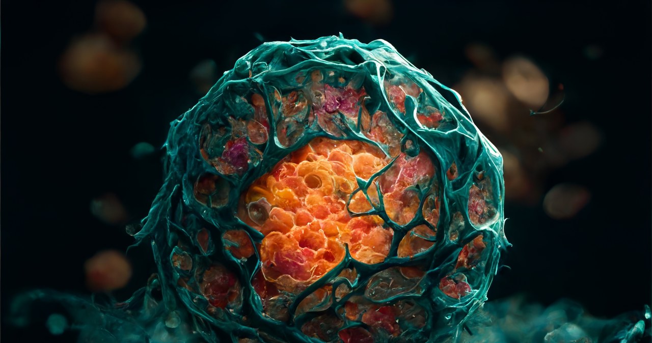 Nowe badania nad rakiem. Specjaliści chcą zrozumieć molekularne podstawy jego wzrostu (zdjęcie ilustracyjne) /marselin888 /123RF/PICSEL