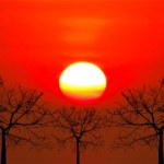 Nowe badanie pokazuje ryzyko ekstremów klimatycznych już przy 2 st. C