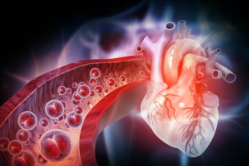 Nowe badanie potwierdza, że serce może się samoregenerować /123RF/PICSEL