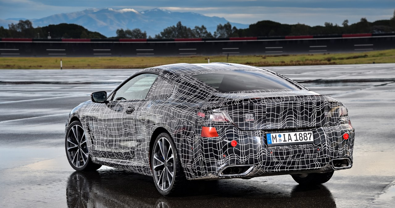 Nowe BMW 8 Coupe /Informacja prasowa