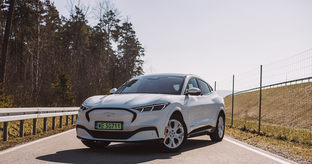 Nowe funkcje w Google Maps na Android Auto działają tylko w Fordzie Mustangu Mach-E oraz F-150 Lightning. /Karol Tynka /INTERIA.PL