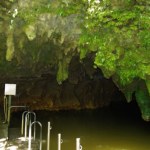 Nowe gatunki ptaków i żab sprzed miliona lat odkryte w Nowej Zelandii