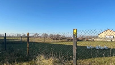 Nowe informacje ws. CPK. Kiedy decyzja lokalizacyjna dla nowego lotniska?