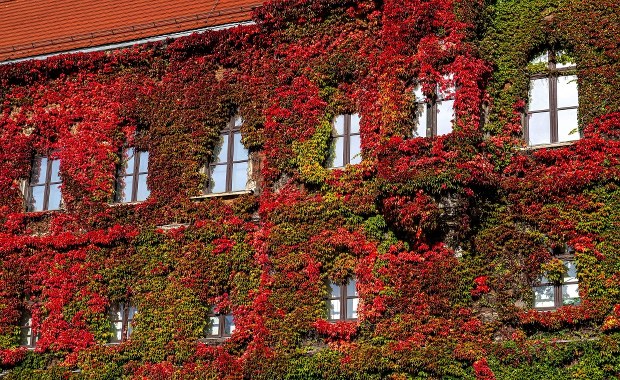 Nowe nabytki wrocławskiego muzeum. Zakupiono obrazy i płaskorzeźbę