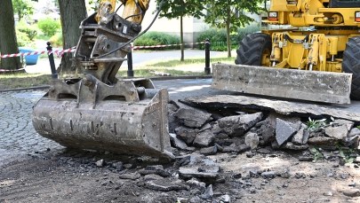 ​Nowe oblicze warszawskich podwórek: Przechodzą zieloną metamorfozę