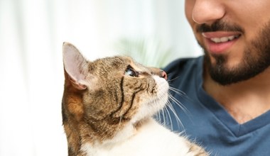 Nowe odkrycie. Koty pomogą nam w walce ze śmiertelną chorobą