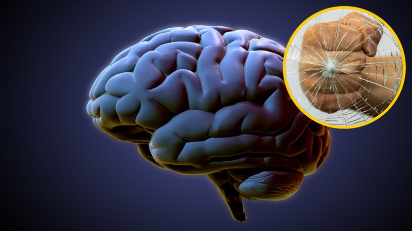 Nowe odkrycie naukowców dotyczące ludzkiego mózgu - wiele filmów należy nakręcić na nowo /123RF/PICSEL
