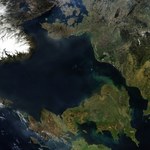 Nowe odkrycie w Morzu Północnym. Zjawisko na niespotykaną skalę