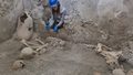 Nowe odkrycie w Pompejach. Leżą tu od dwóch tysięcy lat