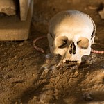 Nowe ofiary znalezione w Pompejach. Tym razem to dwie kobiety i dziecko