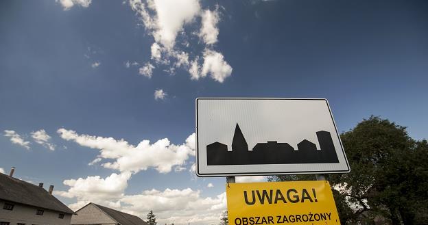Nowe ognisko ASF odkryto w gminie Gołdap. Fot. Agencja Wschód /FORUM