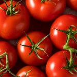 Nowe pomidory z witaminą D. Pomogłyby aż 90 proc. Polaków