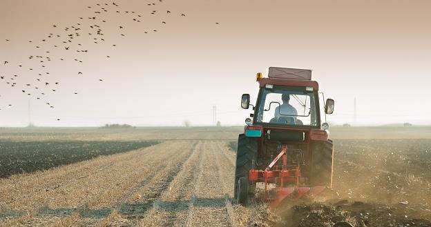 Nowe prawo stanowi zagrożenie dla polskiego rolnictwa? /&copy;123RF/PICSEL
