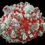 Nowe przeciwciało neutralizuje wirus HIV. Wyjątkowe odkrycie naukowców