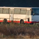 autobusy Nowe przepisy dla przewoźników. Część pasażerów może to odczuć