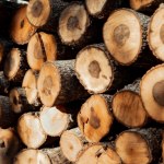 Nowe przepisy dotyczące palenia drewnem. Zmiany weszły w życie 7 września