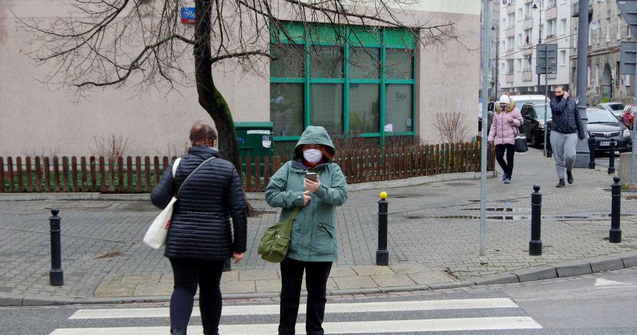 Nowe przepisy m.in. zakażą używania telefonów komórkowych na przejściach /Marek Bazak /Reporter