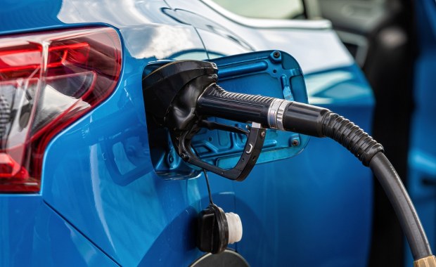 Nowe przepisy od 2026 roku. Ucierpią właściciele spalinówek