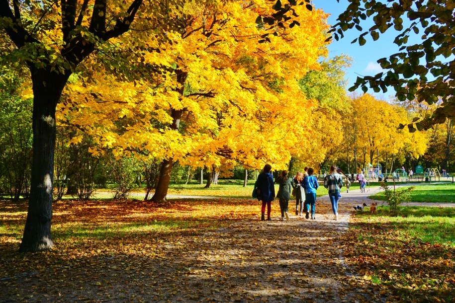 Nowe stawki w sanatoriach na NFZ. Jesień to najlepszy czas na wyjazd! Gdzie warto pojechać? /Shutterstock