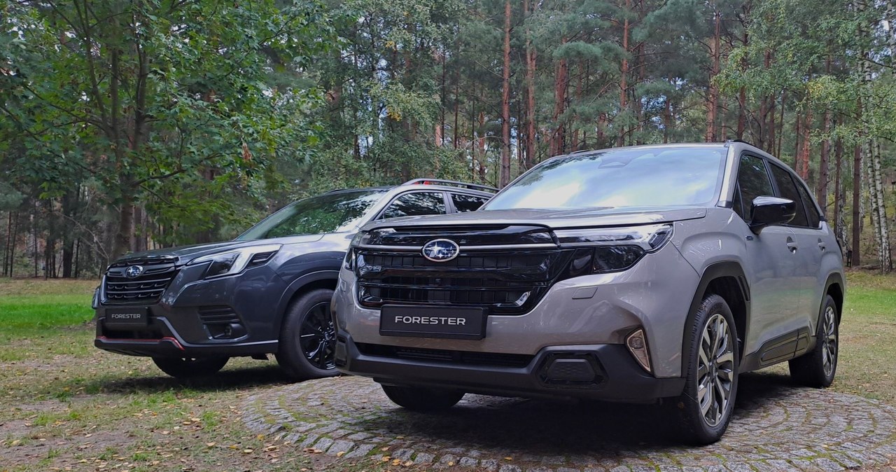 Nowe Subaru Forester oferuje lepsze prowadzenie i zauważalnie wyższy poziom komfortu od swojego poprzednika. Jest jednak od niego słabsze i wolniejsze. /Maciej Olesiuk /INTERIA.PL