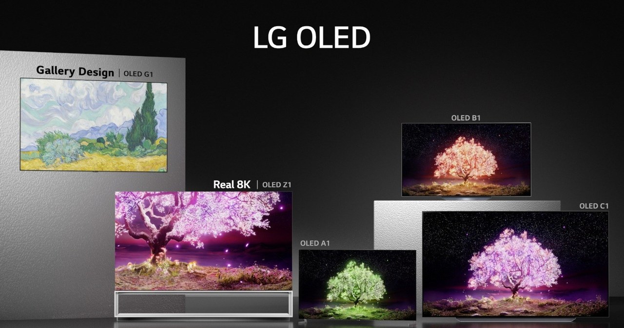 Nowe telewizory LG już w sprzedaży /materiały prasowe
