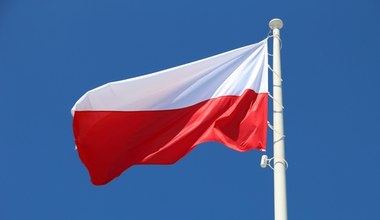 Nowe trendy na rynku, Polska skorzysta. "Kompletna zmiana logiki działania wielu firm"