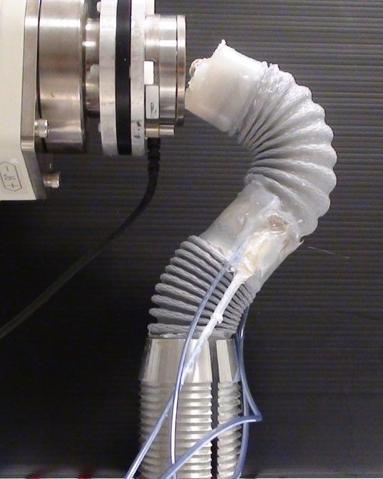 Nowe urządzenie chirurgiczne jest inspirowane macką ośmiornicy /fot. Tommaso Ranzani /materiały prasowe