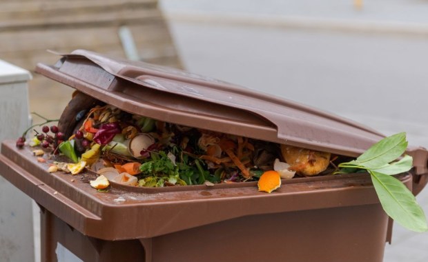 Nowe zasady odbioru odpadów komunalnych. Wyższe opłaty i surowsze wymogi segregacji