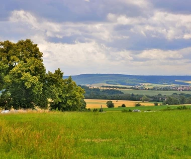 Nowe zasady ustalania opłat za użytkowanie wieczyste gruntów innych niż mieszkaniowe 