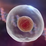 Nowe zastosowanie komórek macierzystych