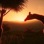 Nowe zwierzęta w DLC do Planet Zoo