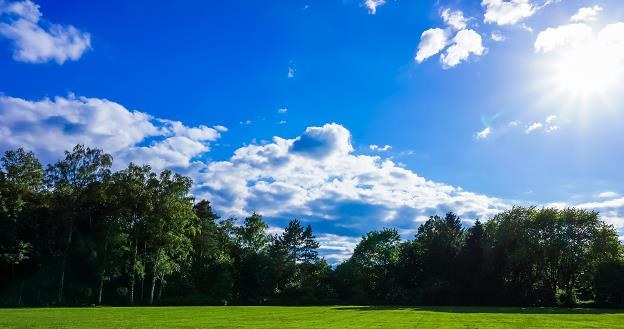 Nowelizacja ustawy o lasach państwowych ogranicza możliwości sprzedaży działek leśnych /&copy;123RF/PICSEL