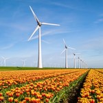 Nowelizacja ustawy wiatrakowej i ceny energii. Jest decyzja
