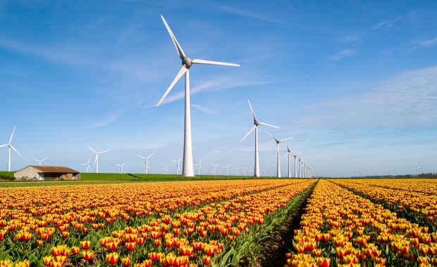 Nowelizacja ustawy wiatrakowej i ceny energii. Jest decyzja
