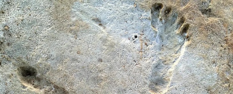 Nowo odkryte ślady stóp w Nowym Meksyku /materiały prasowe