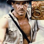 Nowo odkryty wąż dostał celebrycką nazwę. Na cześć przygód Indiany Jonesa