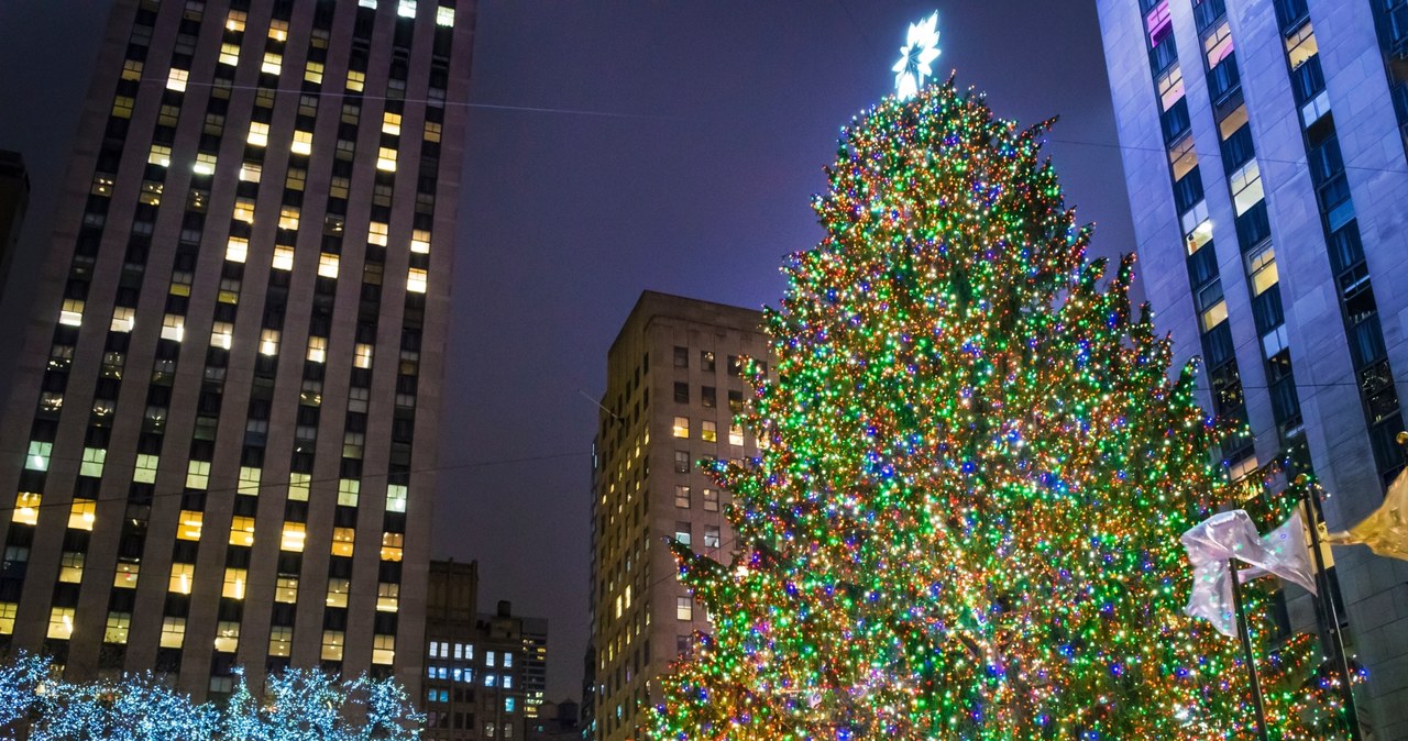 Nowojorska choinka jest jednym z najpopularniejszych drzewek bożonarodzeniowych /Pixel