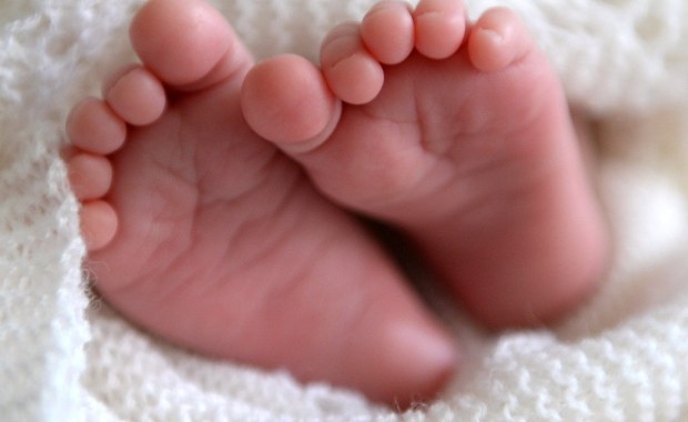 Noworodek pobity w Wodzisławiu Śląskim? Dziecko ma krwiaka i obrzęk mózgu